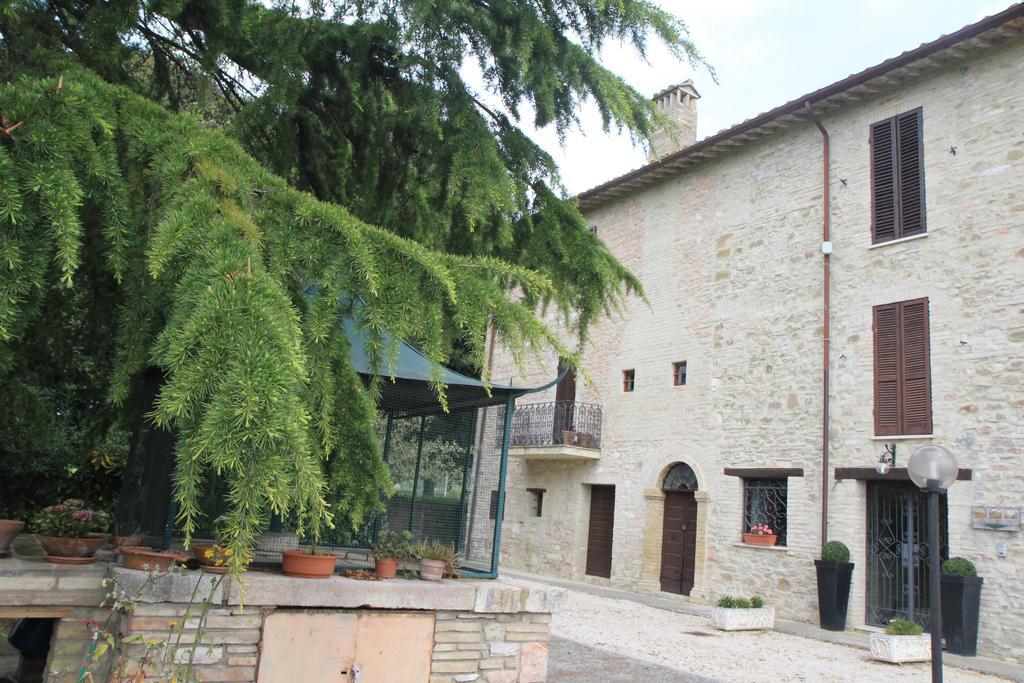 Hotel La Quiete Assise Extérieur photo