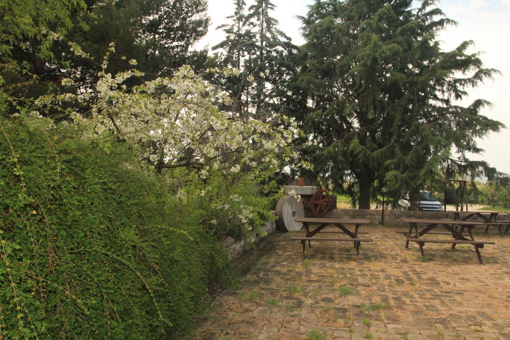 Hotel La Quiete Assise Extérieur photo