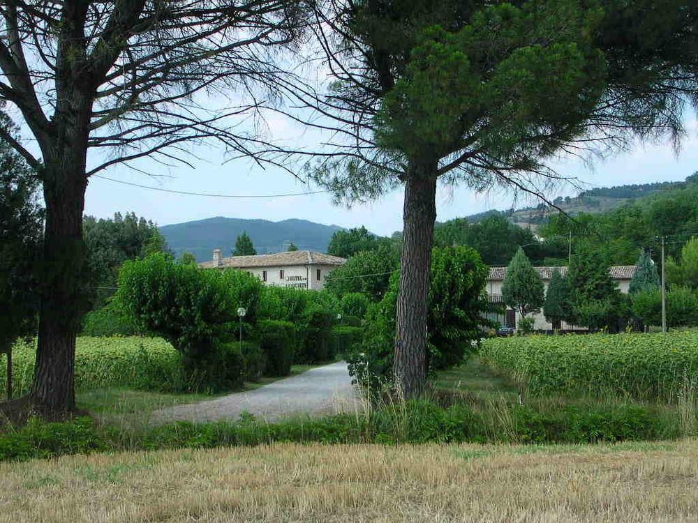 Hotel La Quiete Assise Extérieur photo